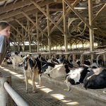 June Dairy