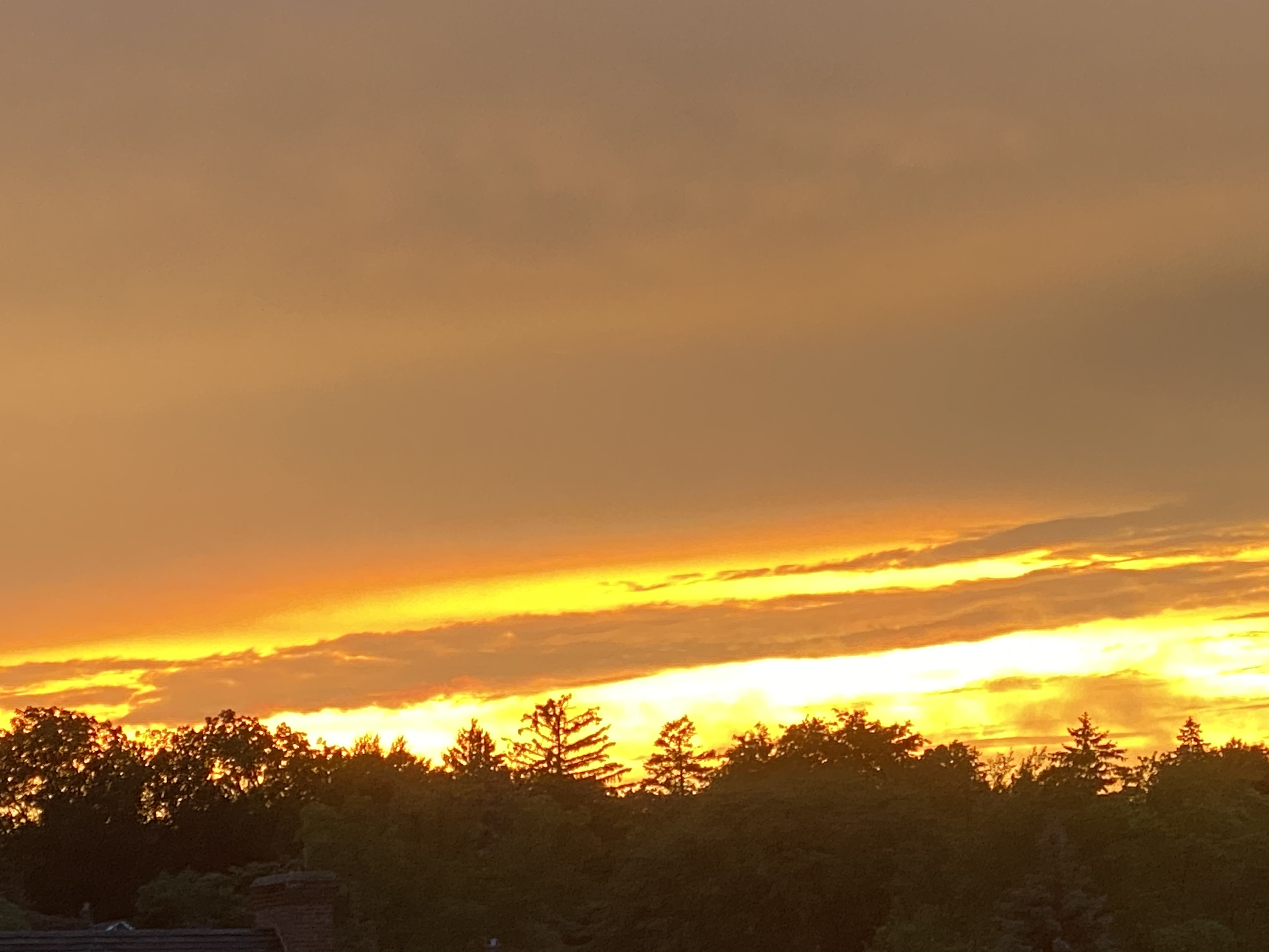 Obituary sunset scene