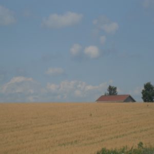 Obituary farming, Randy