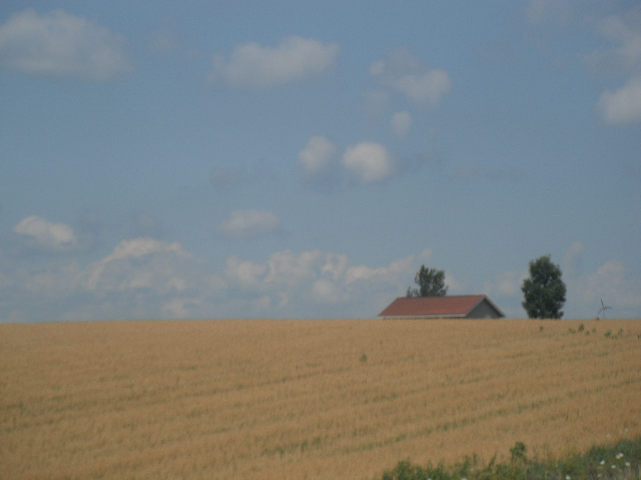 Obituary farming, Richard