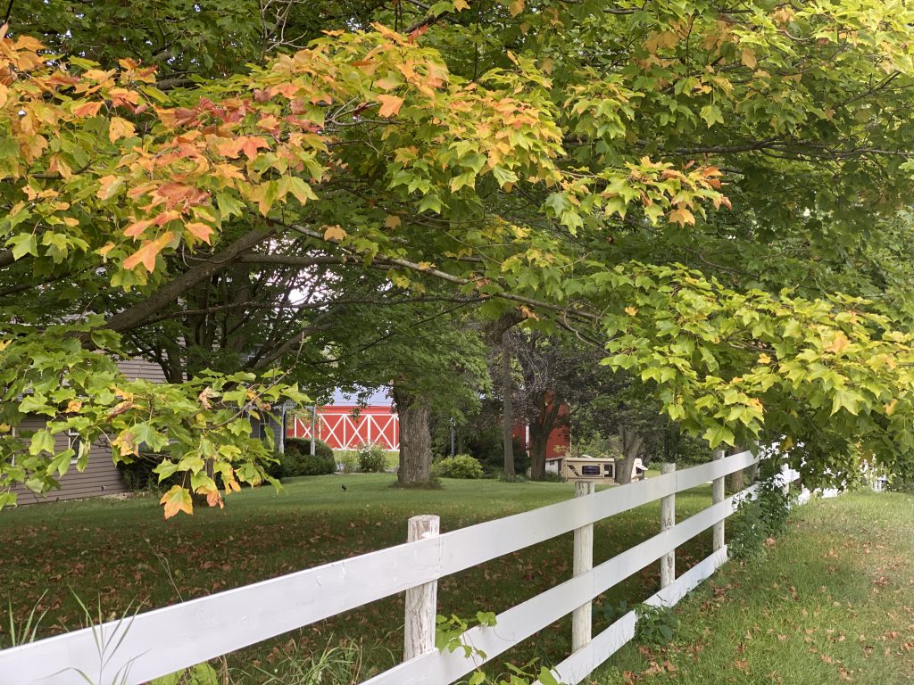 Colors changing in Washington County