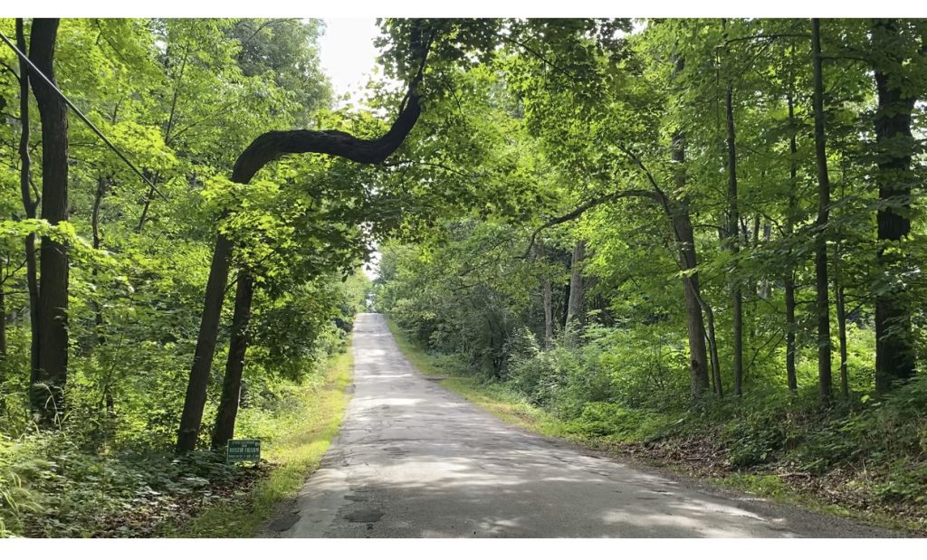 Marker tree on Rustic Road