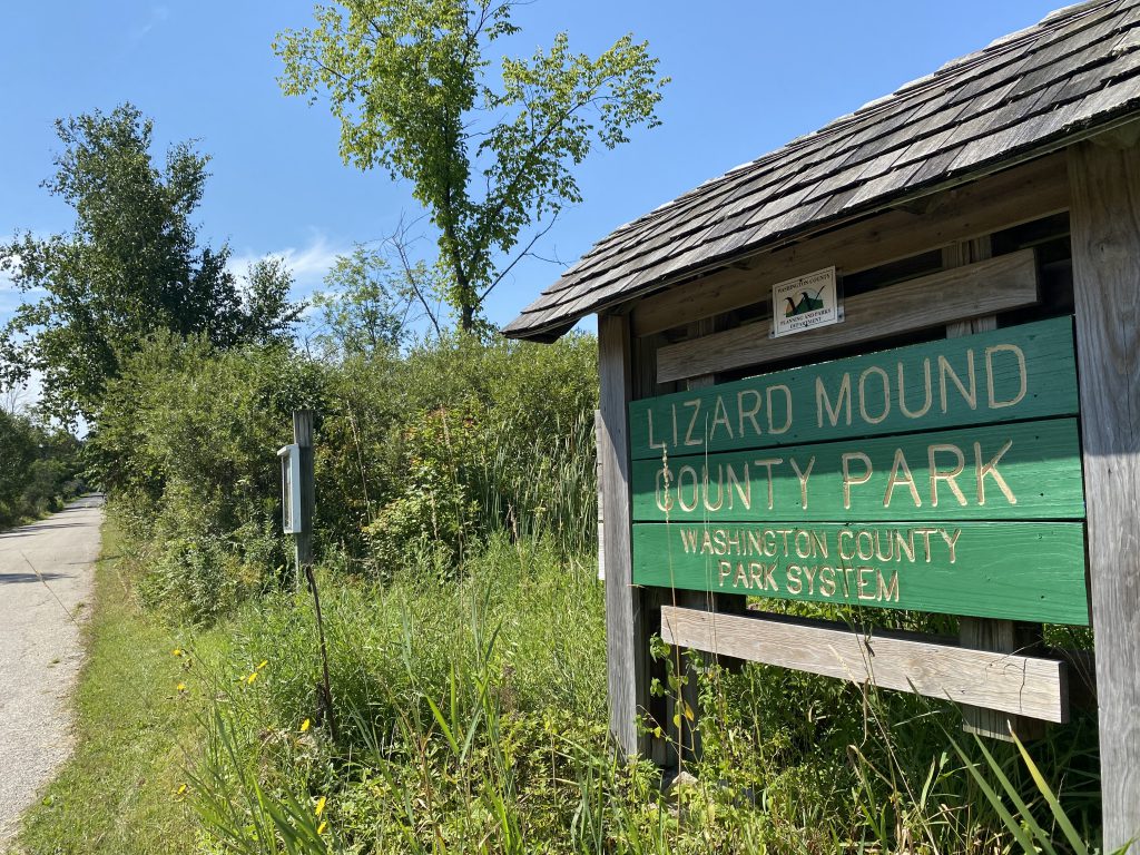 Lizard mound