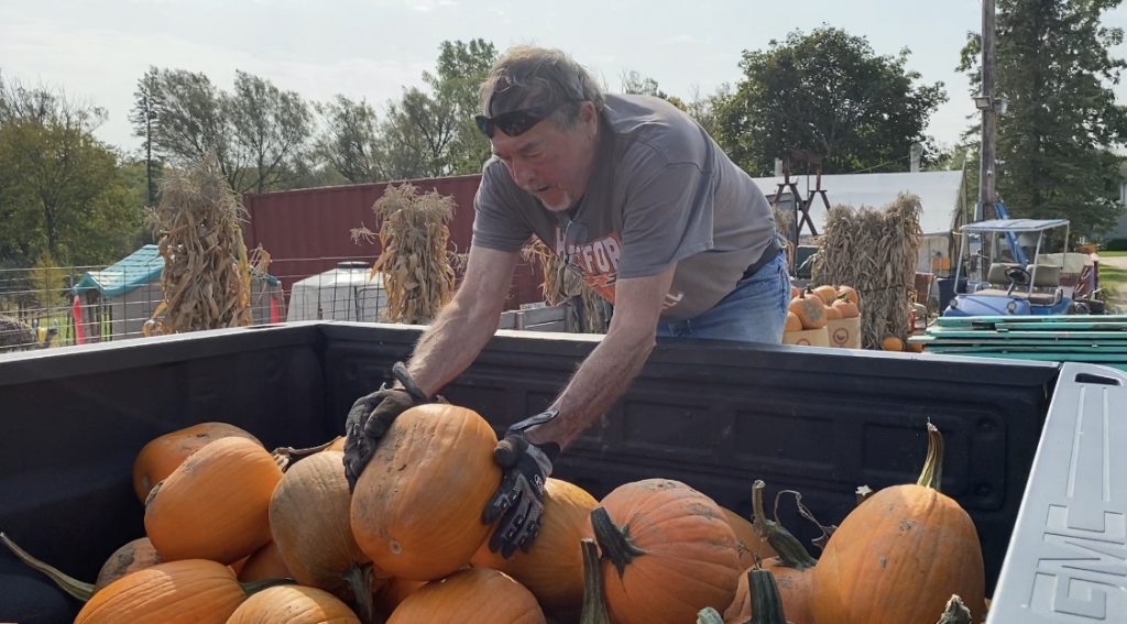 Pumpkins at Meadowbrook