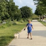 boy walking dog