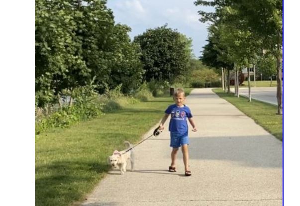 boy walking dog