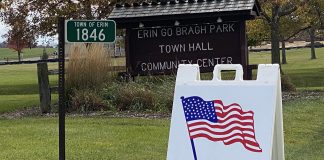 Town of Erin, election, vote