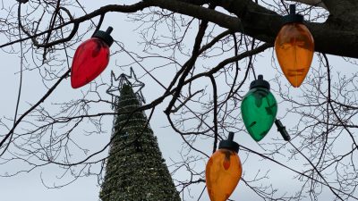 Enchantment in the Park