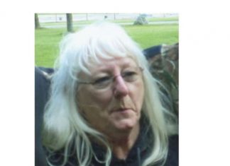 Obituary | Donna M. Holderbaum (nee Reseburg), 77, of West Bend