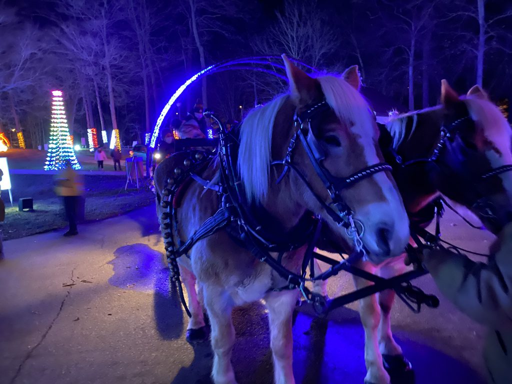 Horse and carriage Enchantment