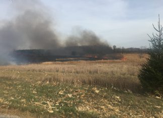 14 fire departments respond to large grass fire in Town of Erin grass fire Town of Erin