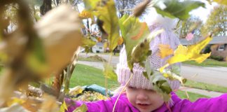 Leaves, rake