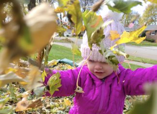 Strong cold front to move into Washington Co. on Tuesday Leaves, rake