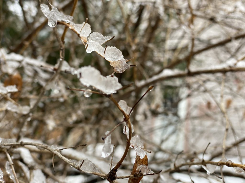 icy, snow, west bend