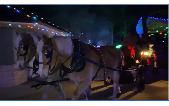 Enchantment Horse and carriage 