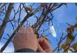 VIDEO | Neighbors in Hartford participate in Witness Tree ceremony on November 1