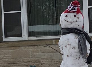 PHOTO GALLERY | Psst… your snowman is showing snowman