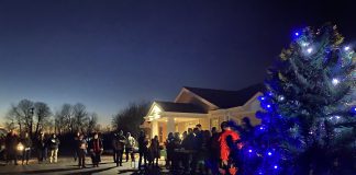 Tree of Life in Hartford