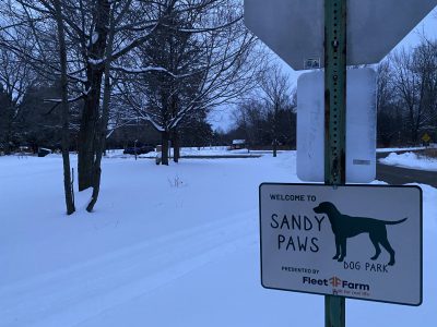 dog park, sandy knoll