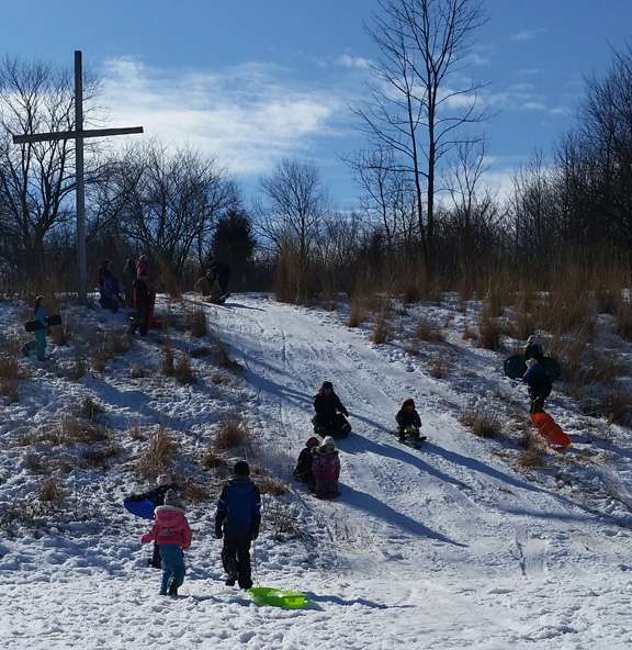 sledding