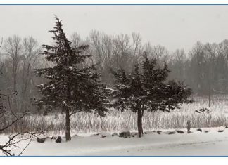 VIDEO | Special weather statement for Washington Co., Ozaukee, Sheboygan, Dodge through midnight snow