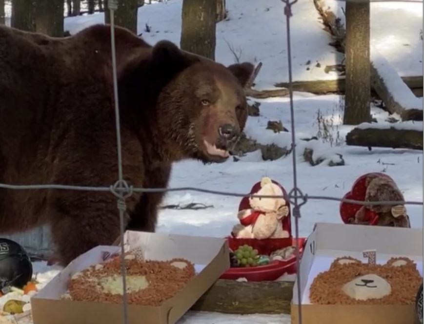 Video Lewis And Clark Turning 8 And You Re Invited By David Fechter Washington County Insider