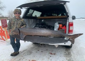 Sturgeon spearing