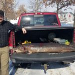 sturgeon spearing