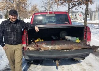 sturgeon spearing