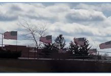 windy day, flags