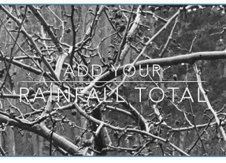 VIDEO | Collecting rainfall totals in Washington County Rainfall total