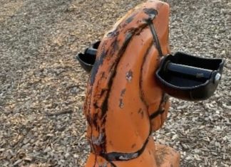 Vandalism to playground equipment in Hartford Playground horse