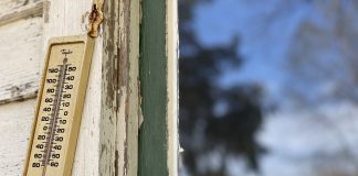 redwood siding, thermometer