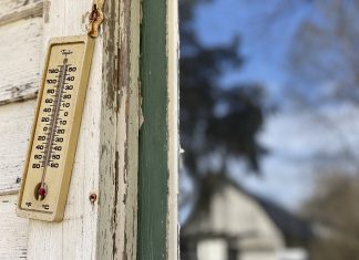 redwood siding, thermometer
