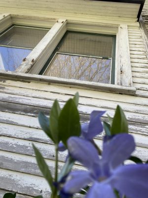 outside windows, Myra