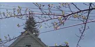 April showers, rain