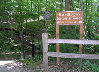 Haskell noyes