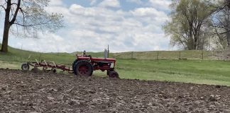 tractor, farming