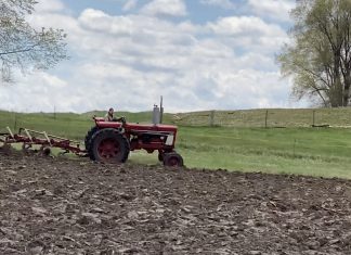 tractor, farming