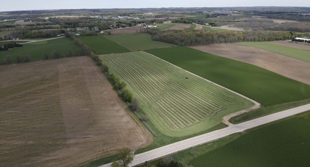 Gehring farmland, tree line