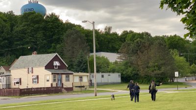 dog, Regner Park concert