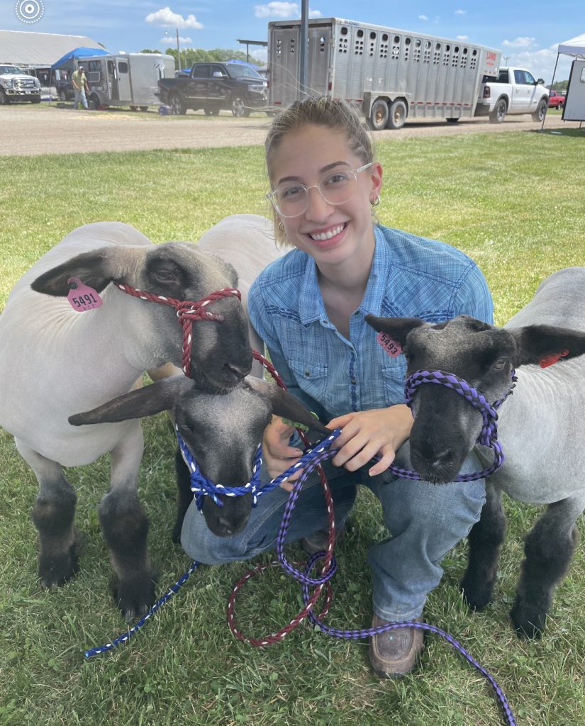 Abigail, emmett, sheep