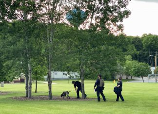 bomb dogs