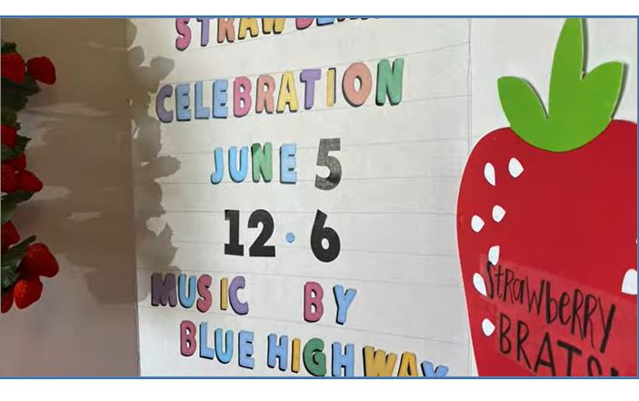 strawberry celebration