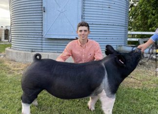 Slinger FFA members awarded $5,000 in state and national FFA SAE grants | Katelyn Dei Slinger FFA