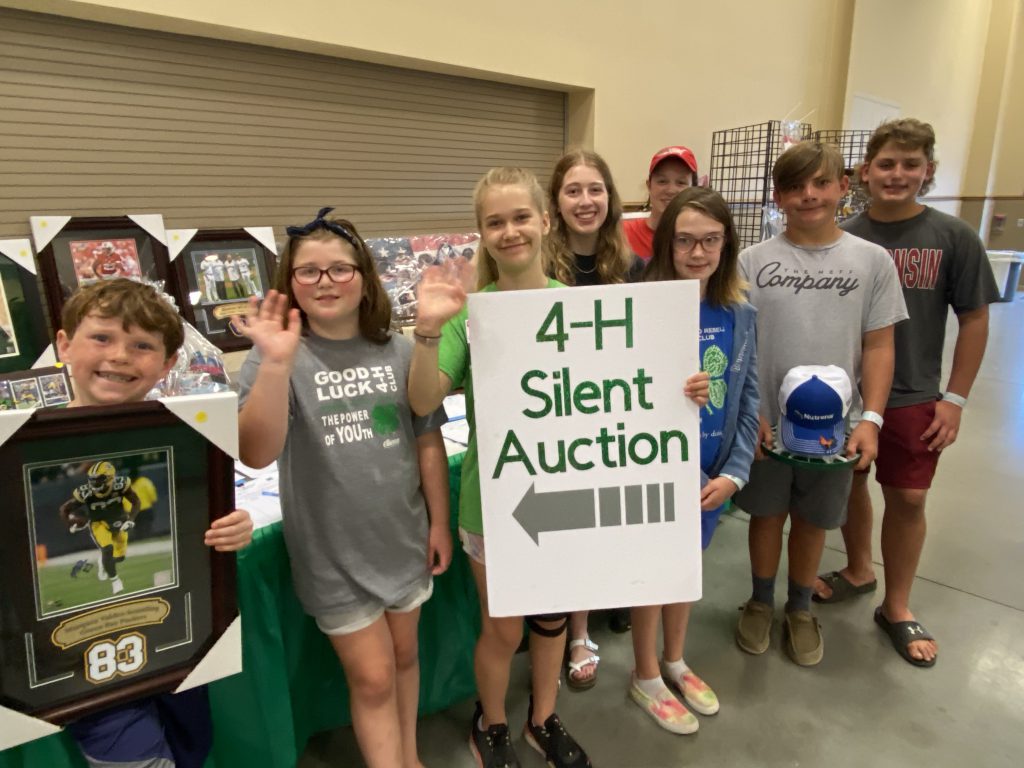 silent auction, 4-H