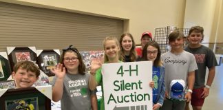 silent auction, 4-H