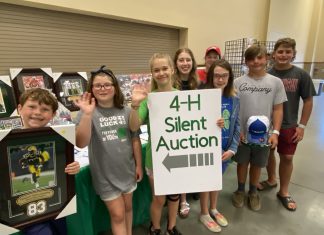 Great items at 4-H Silent Auction at Washington County Fair | By Cassie Jerich, Good Luck 4-H Club silent auction, 4-H