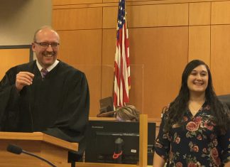 drug treatment court