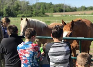 Ribbon-cutting will officially open doors to new equine horse therapy in Hartford